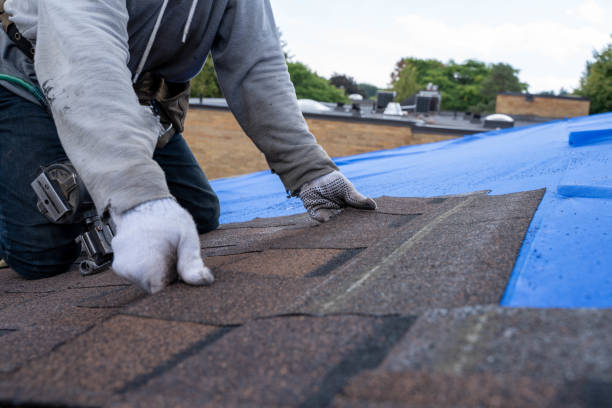 Best Local Roofing Companies  in Del Monte Forest, CA